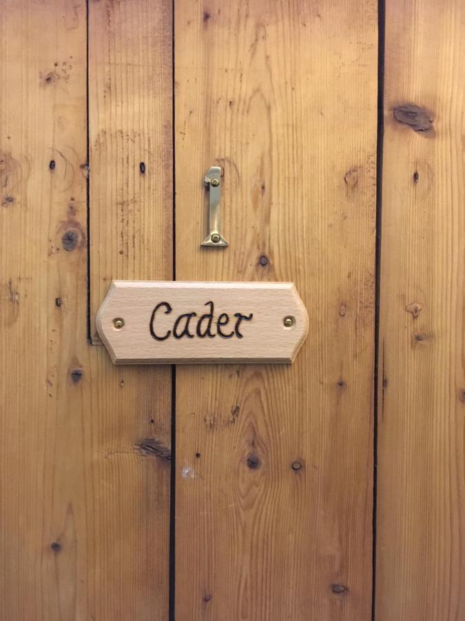 Aber Cottage B&B 돌겔라우 객실 사진